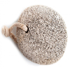 pumice stone