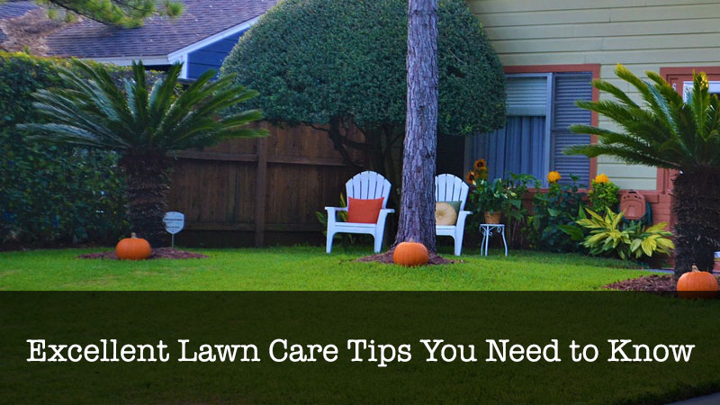 Excellent Lawn Care Tips