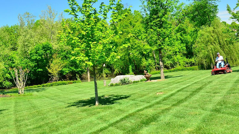 General Lawn Maintenance