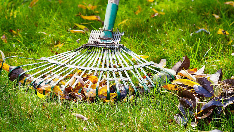 Lawn Care Equipment