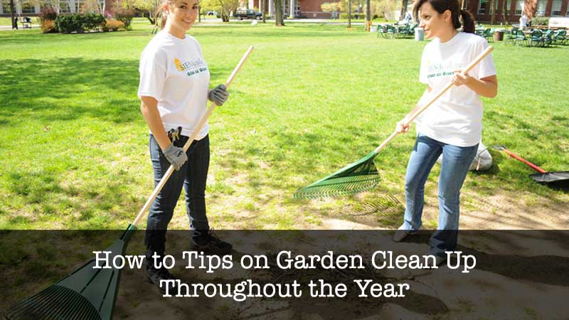 Garden Clean Up Tips