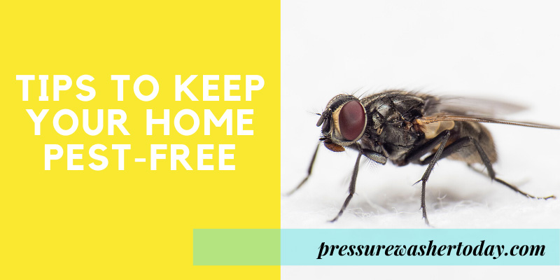 Tips to keep your home pest-free