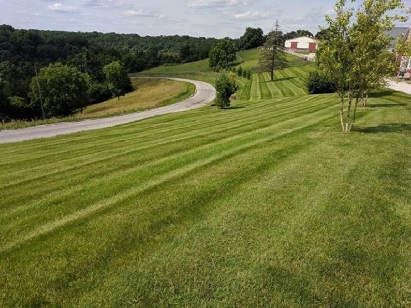 benefits of cleaning mower