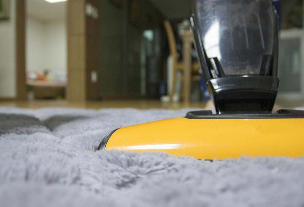 Invest in a suitable quality vacuum cleaner to  home pest-free