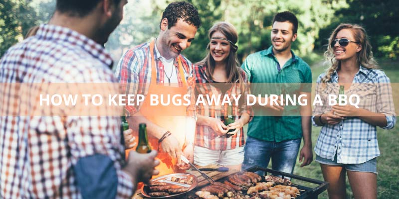 How To Keep Bugs Away During A BBQ