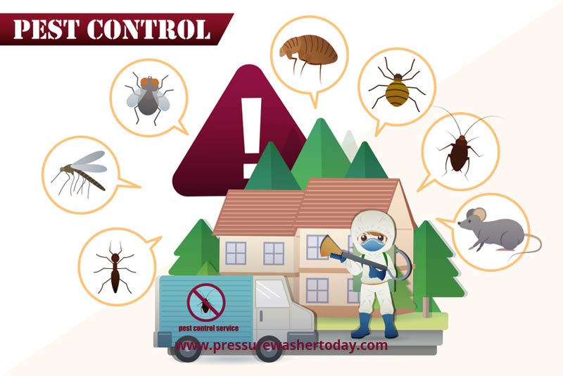 Pest Control Professionals