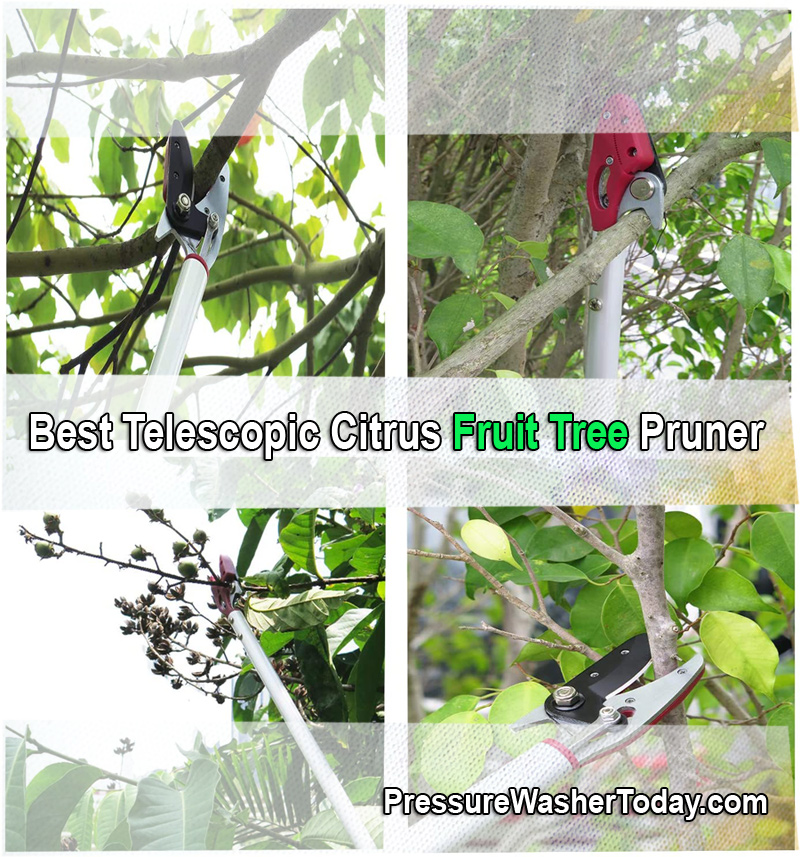 Best Telescopic Citrus Fruit Tree Pruner