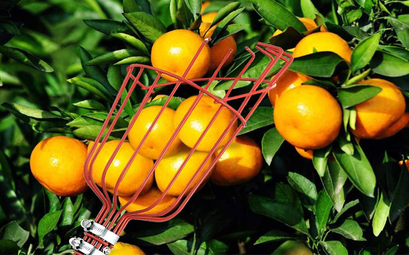 Telescopic Citrus Fruit Picker